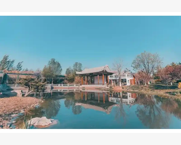气血不足 胆气虚：探秘中医调理之道